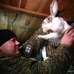 В Новосибирской области трудоустроено более 1000 участников СВО