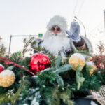 В Новосибирской области станет снова тепло