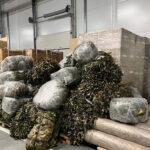 Новосибирская область направила на СВО 450 грузовиков с гуманитарной помощью