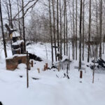 В Новосибирской области девятилетний мальчик спас свою семью во время пожара