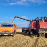 Новосибирская область усиливает позиции в экспорте сельскохозяйственной продукции и расширяет географию и ассортимент