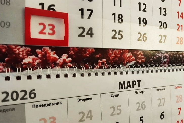 В Новосибирской области 23 февраля стартовала первая короткая рабочая неделя 2026 года