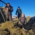 В Болотнинском районе семья Бойко превратила скромное подворье в процветающее КФХ