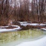 Гидрологи определили наиболее опасные районы во время паводка 2026 года в Новосибирской области