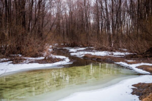 Синоптики подготовили прогноз погоды на 7–10 апреля для Новосибирска