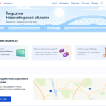 Главные цифровые сервисы Новосибирской области теперь доступны в одном месте на Госуслугах