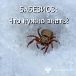 Жителей Новосибирской области предупредили об опасном заболевании