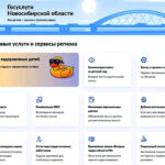 Губернатор Новосибирской области высоко оценил возможности регионального раздела Госуслуг