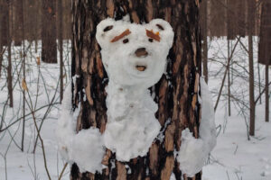 Синоптики подготовили прогноз погоды на 24-27 марта для Новосибирска