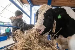 В Новосибирской области пройдёт проверка ветеринарной безопасности, организованная Правительством России