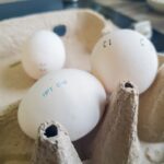 Потребность в яйцах на 124% закрыли новосибирские птицефабрики в 2025 году