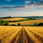 Торговые предприятия смогут доставлять продукцию в села благодаря господдержке