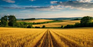 Торговые предприятия смогут доставлять продукцию в села благодаря господдержке