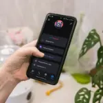 В Новосибирской области успешно внедрили сервис оплаты проезда с помощью Mах