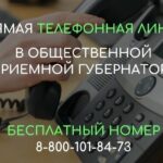 В Новосибирской области для семей с детьми пройдёт «День открытых дверей» и «прямая линия»