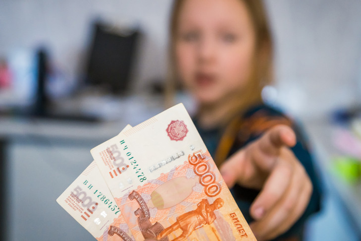В Новосибирской области дочь украла у матери 400 тысяч рублей