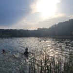 18-летний парень утонул на озере под Новосибирском