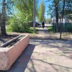 26 территорий для благоустройства определили в Новосибирской области по результатам голосования