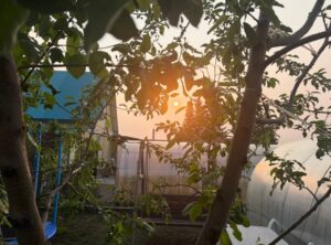 Аномальная жара в Новосибирской области продлится до 24 июня
