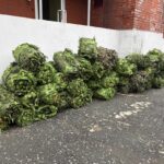 Волонтёры Болотнинского района отправили новую партию помощи для участников СВО