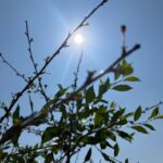 Роспотребнадзор напоминает о мерах защиты от ультрафиолета