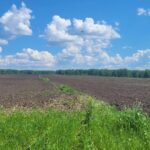 Посевная кампания в Новосибирской области подходит к завершению