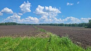 Посевная кампания в Новосибирской области подходит к завершению