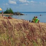 Высокая пожароопасность IV класса объявлена в Новосибирской области