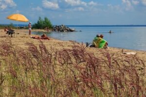 Высокая пожароопасность IV класса объявлена в Новосибирской области