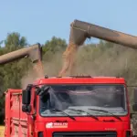 В Новосибирской области агропромышленный сектор реализует 14 масштабных инвестиционных инициатив