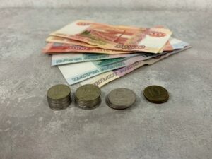 В Новосибирской области утвердили новый прожиточный минимум на 2027 год